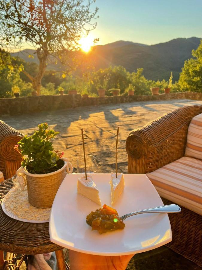 Country Residence Turicchi لوندا المظهر الخارجي الصورة